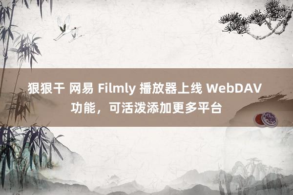 狠狠干 网易 Filmly 播放器上线 WebDAV 功能，可活泼添加更多平台