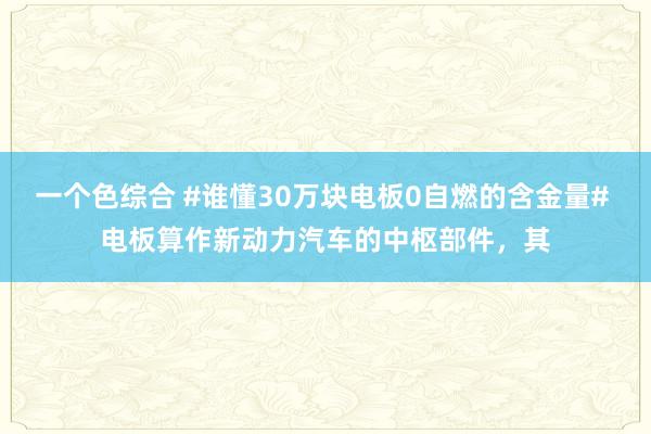 一个色综合 #谁懂30万块电板0自燃的含金量# 电板算作新动力汽车的中枢部件，其