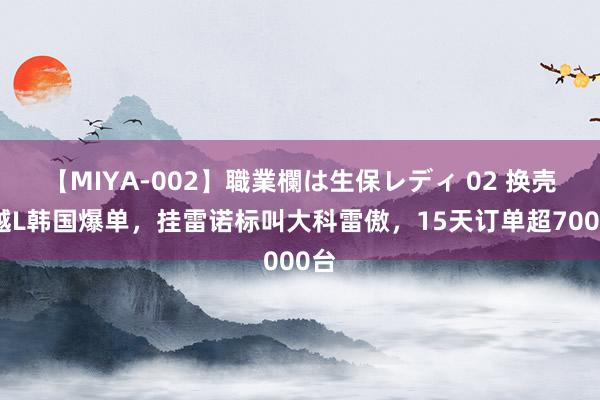 【MIYA-002】職業欄は生保レディ 02 换壳星越L韩国爆单，挂雷诺标叫大科雷傲，15天订单超7000台