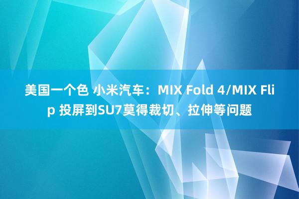 美国一个色 小米汽车：MIX Fold 4/MIX Flip 投屏到SU7莫得裁切、拉伸等问题