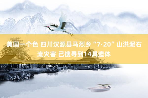 美国一个色 四川汉源县马烈乡“7·20”山洪泥石流灾害 已搜寻到14具遗体