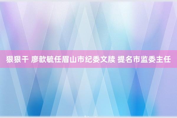 狠狠干 廖歆毓任眉山市纪委文牍 提名市监委主任