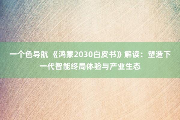 一个色导航 《鸿蒙2030白皮书》解读：塑造下一代智能终局体验与产业生态