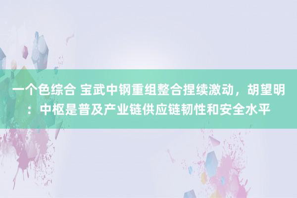 一个色综合 宝武中钢重组整合捏续激动，胡望明：中枢是普及产业链供应链韧性和安全水平