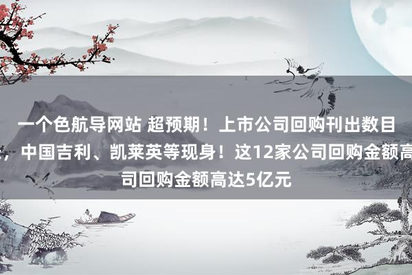 一个色航导网站 超预期！上市公司回购刊出数目显赫增长，中国吉利、凯莱英等现身！这12家公司回购金额高达5亿元