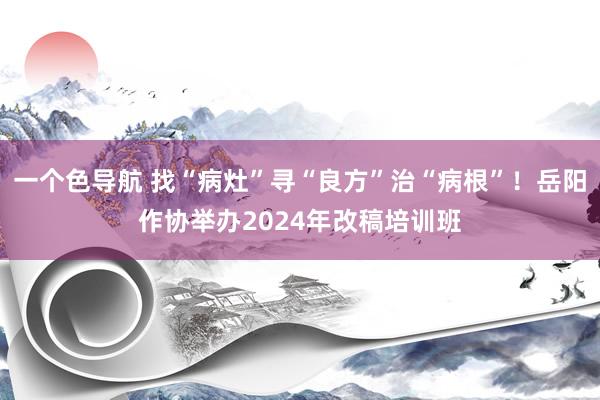 一个色导航 找“病灶”寻“良方”治“病根”！岳阳作协举办2024年改稿培训班