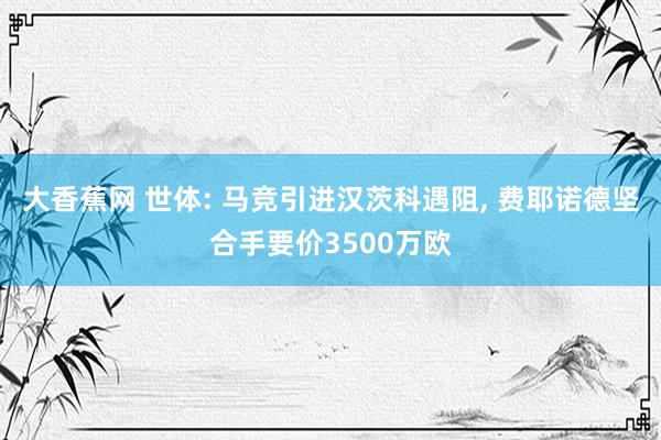 大香蕉网 世体: 马竞引进汉茨科遇阻， 费耶诺德坚合手要价3500万欧