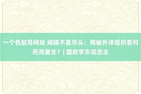 一个色航导网站 间隔不是尽头：揭秘外洋组织若何死而复生？| 国政学东说念主