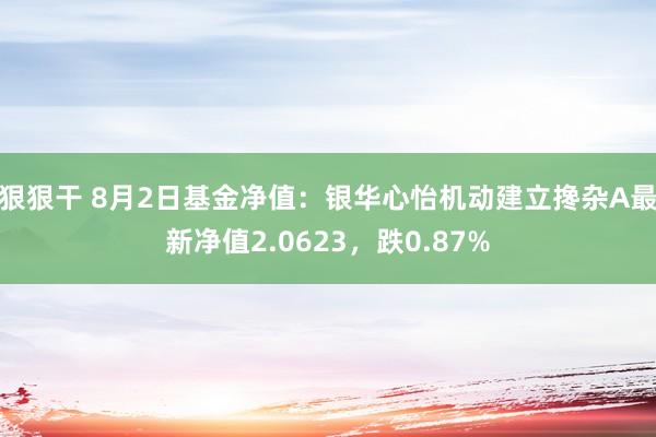 狠狠干 8月2日基金净值：银华心怡机动建立搀杂A最新净值2.0623，跌0.87%