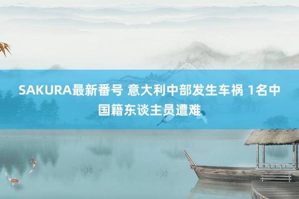 SAKURA最新番号 意大利中部发生车祸 1名中国籍东谈主员遭难