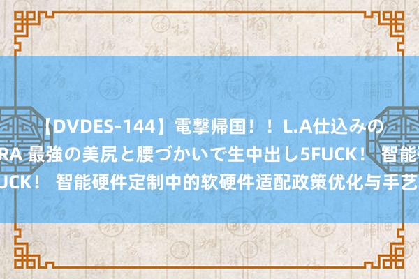 【DVDES-144】電撃帰国！！L.A仕込みのレゲエダンサーSAKURA 最強の美尻と腰づかいで生中出し5FUCK！ 智能硬件定制中的软硬件适配政策优化与手艺蜕变_卡卓无线