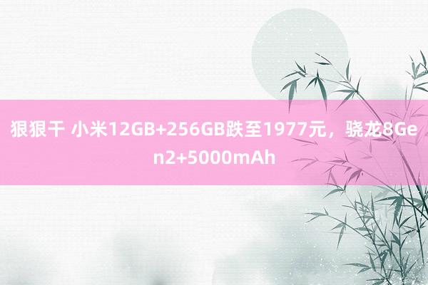 狠狠干 小米12GB+256GB跌至1977元，骁龙8Gen2+5000mAh