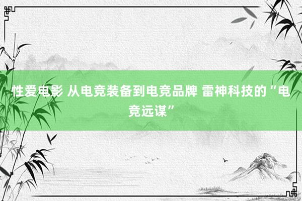 性爱电影 从电竞装备到电竞品牌 雷神科技的“电竞远谋”