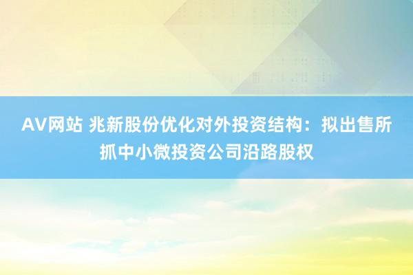 AV网站 兆新股份优化对外投资结构：拟出售所抓中小微投资公司沿路股权