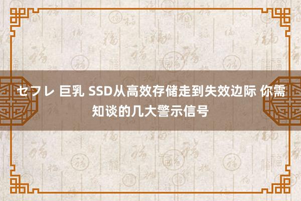 セフレ 巨乳 SSD从高效存储走到失效边际 你需知谈的几大警示信号