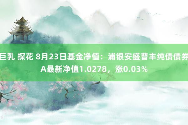 巨乳 探花 8月23日基金净值：浦银安盛普丰纯债债券A最新净值1.0278，涨0.03%