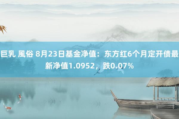 巨乳 風俗 8月23日基金净值：东方红6个月定开债最新净值1.0952，跌0.07%