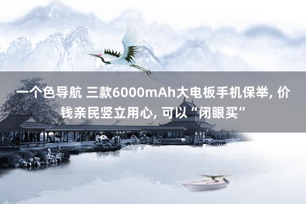 一个色导航 三款6000mAh大电板手机保举， 价钱亲民竖立用心， 可以“闭眼买”