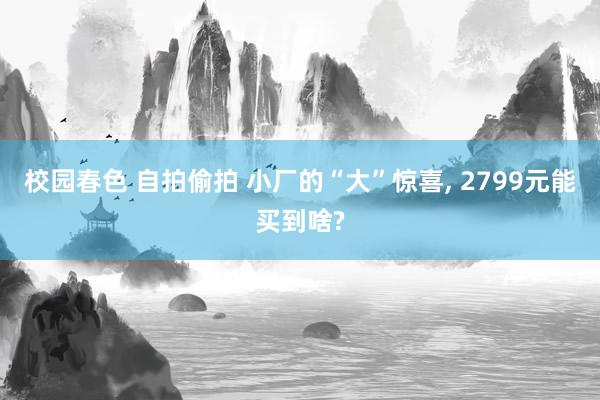 校园春色 自拍偷拍 小厂的“大”惊喜， 2799元能买到啥?