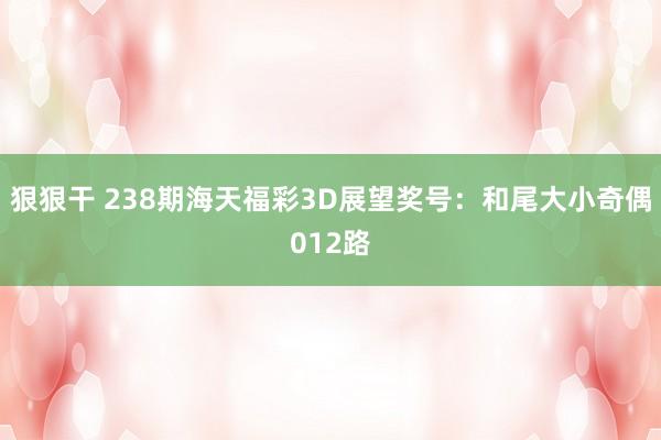 狠狠干 238期海天福彩3D展望奖号：和尾大小奇偶012路