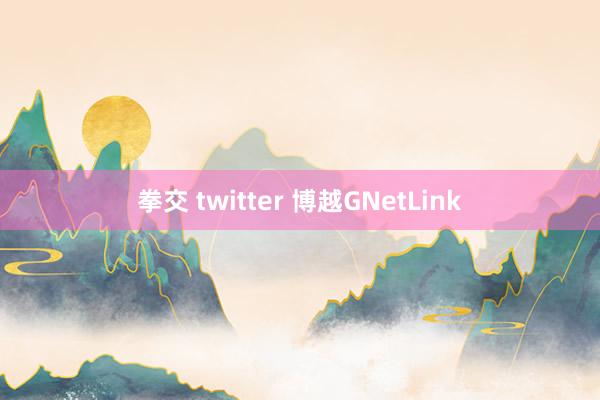 拳交 twitter 博越GNetLink