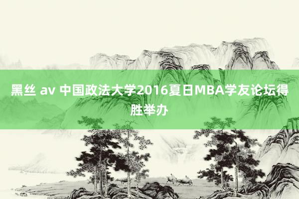 黑丝 av 中国政法大学2016夏日MBA学友论坛得胜举办