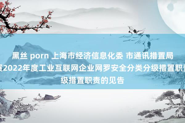 黑丝 porn 上海市经济信息化委 市通讯措置局对于开展2022年度工业互联网企业网罗安全分类分级措置职责的见告