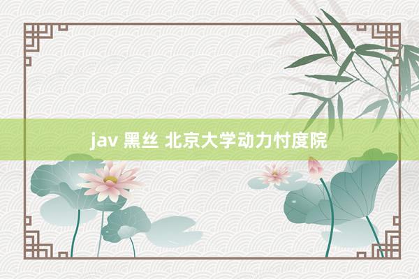 jav 黑丝 北京大学动力忖度院