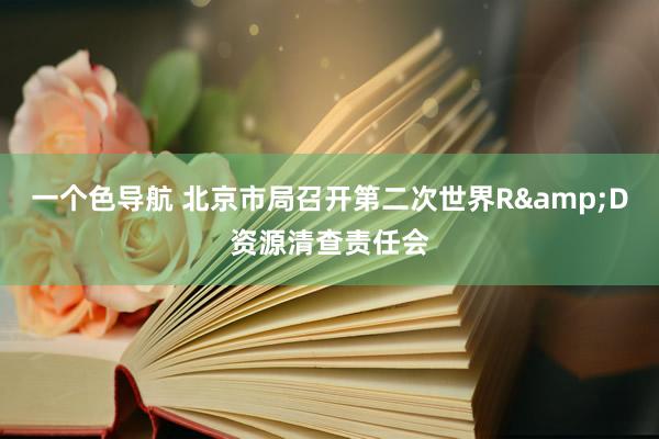 一个色导航 北京市局召开第二次世界R&D资源清查责任会